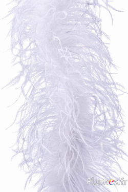 Struisvogel lont - 10 cm - wit